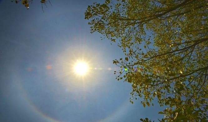 9001cc金沙以诚为本(中国集团)有限公司官网